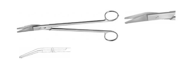 НОЖИЦІ ХРЯЩЕВІ ЗАГНУТІ 250MM